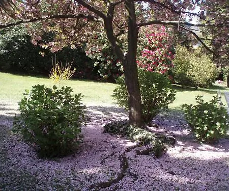 Ξενοδοχείο Du Parc 3*